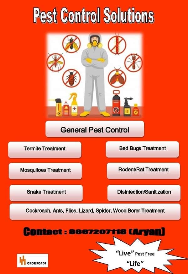 Pest Control Solutions