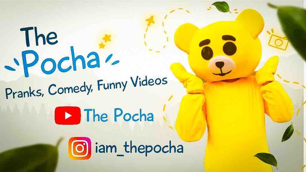 Teddy Bear The Pocha